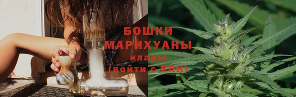 спиды Дмитриев