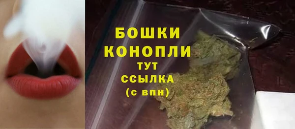 спиды Дмитриев