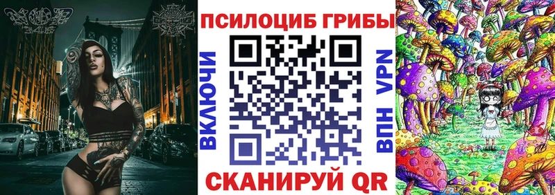 Купить закладки Дятьково Псилоцибиновые грибы прущие грибы